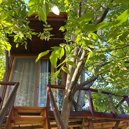 Eagle Park&camping