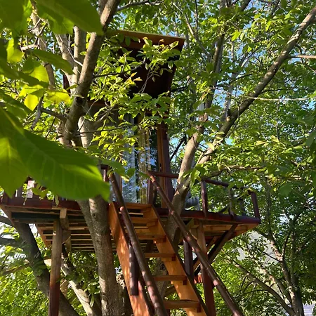 Eagle Park&camping
